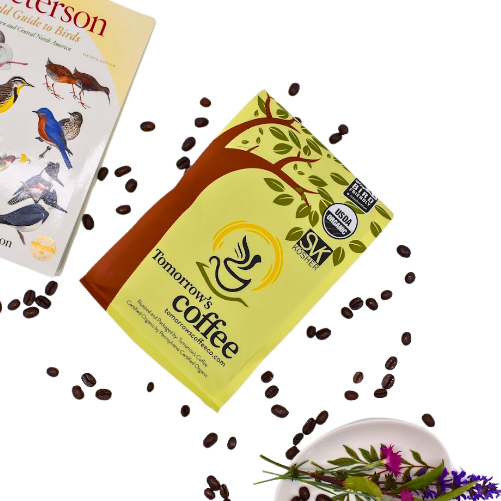 Ethiopian, BACK IN STOCK!
