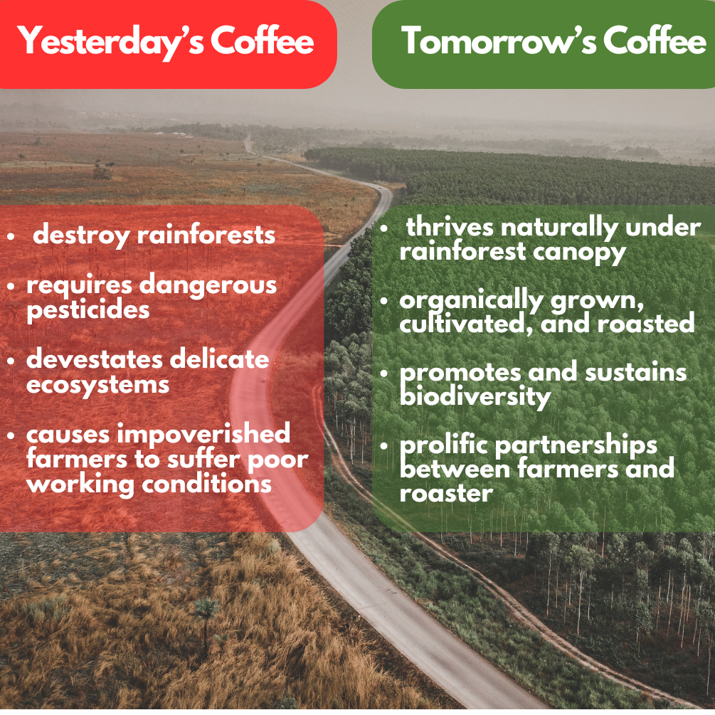 Ethiopian, BACK IN STOCK!