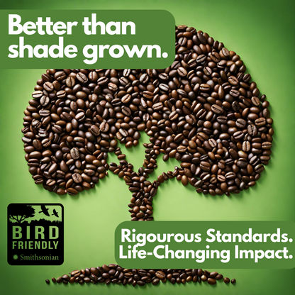 Tomorrow's Coffee, Ethiopian Single Origin, Dark Roast, Ground or Whole Bean, 1 lb